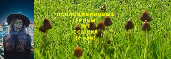 ПСИЛОЦИБИНОВЫЕ ГРИБЫ Бугульма