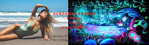 мдма Бородино