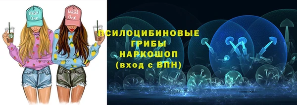 ПСИЛОЦИБИНОВЫЕ ГРИБЫ Бугульма